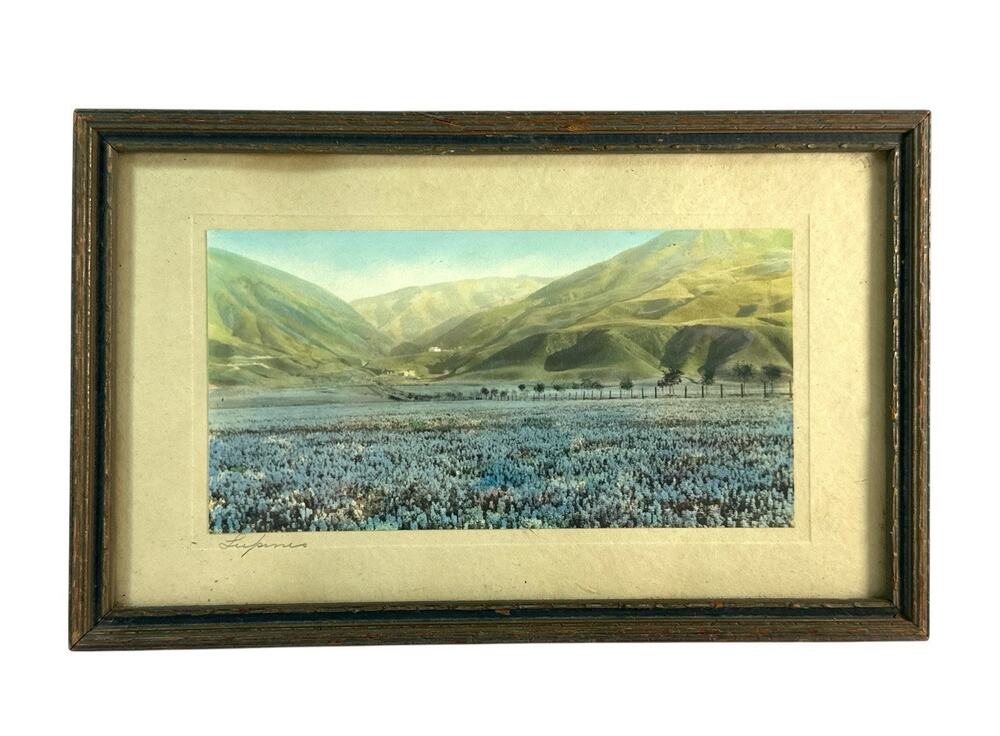 Vintage Lupinus Wildflower Field Mountain Landscape Photo Print Framed